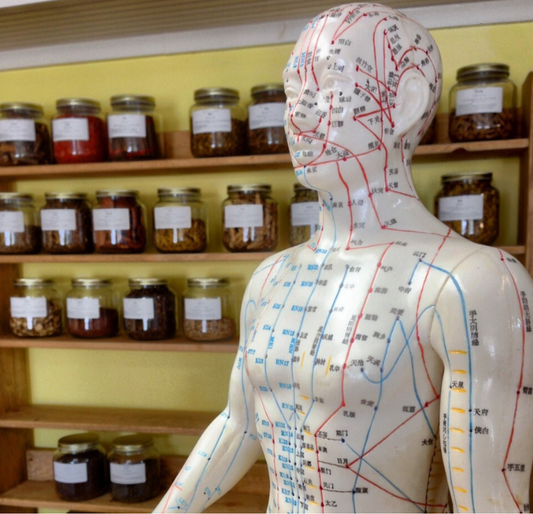 Sylvie-friedlander-médecine chinoise à Montpellier