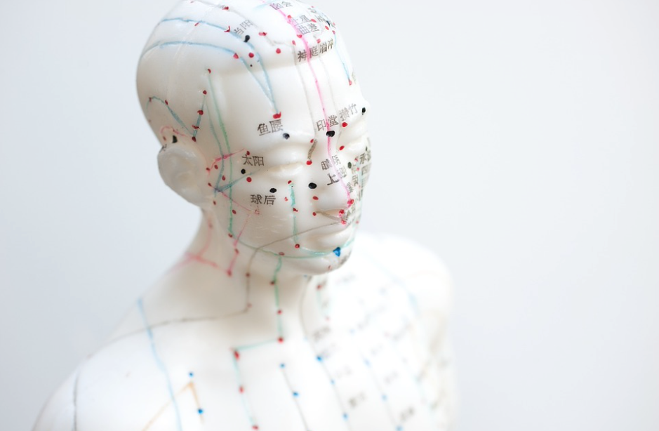 Acupuncture à Montpellier-Sylvie Friedlander