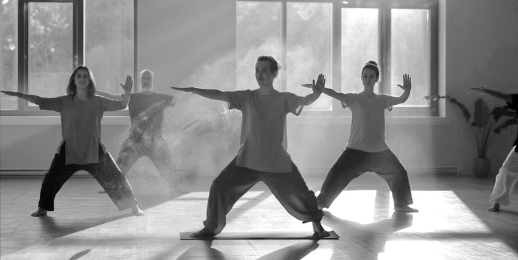 Cours_individuels_et_collectifs_de_Yang_Sheng_Qi_Gong_en_presence_et_a_distance_Sylvie_Friedlander