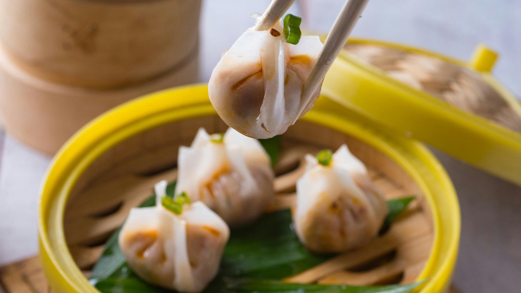 Dietetique_chinoise_a_montpellier-Therapies-corps-esprit_Sylvie_Friedlander