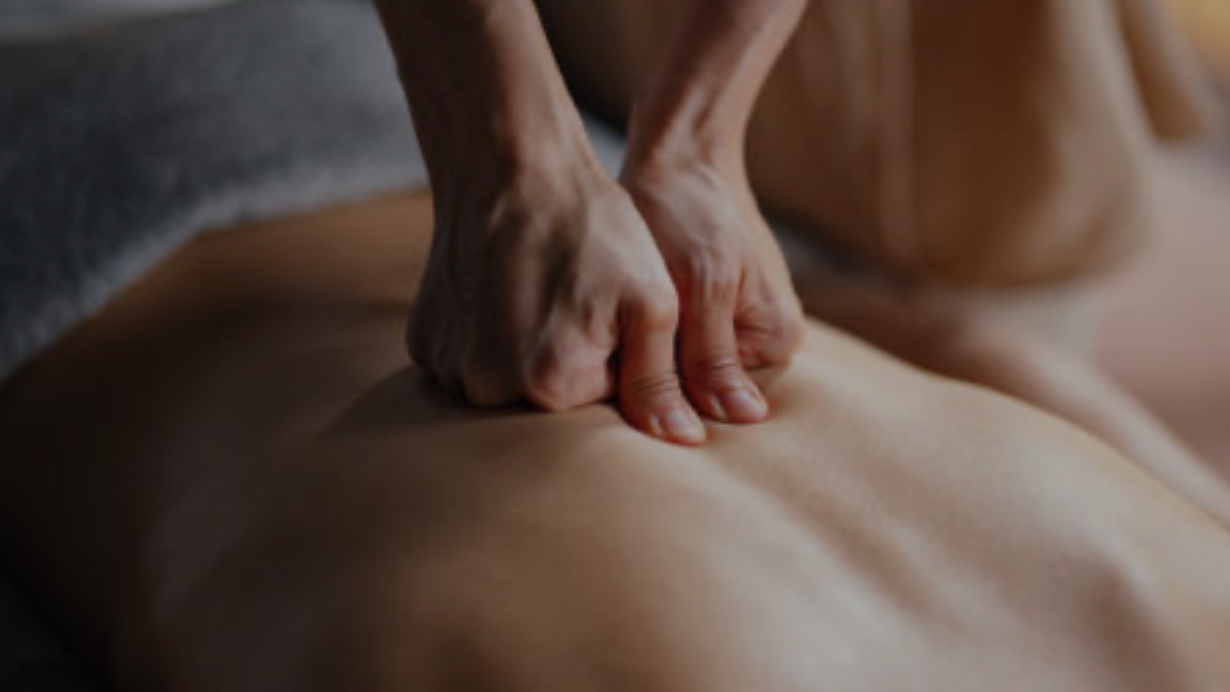 Massage-Tui-Na-Montpellier-Sylvie-Friedlander