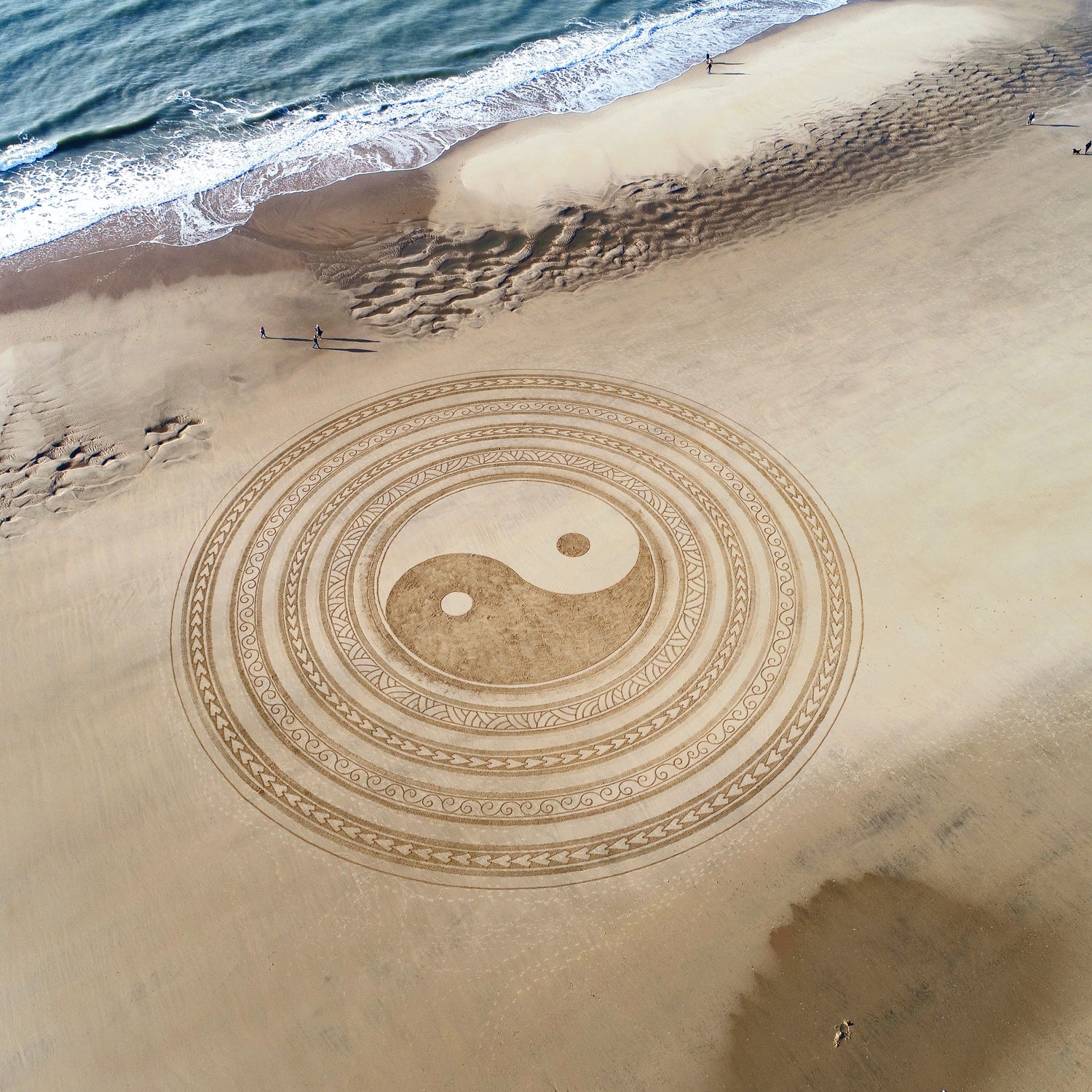 Medecine chinoise-Montpellier-Sylvie Friedlander