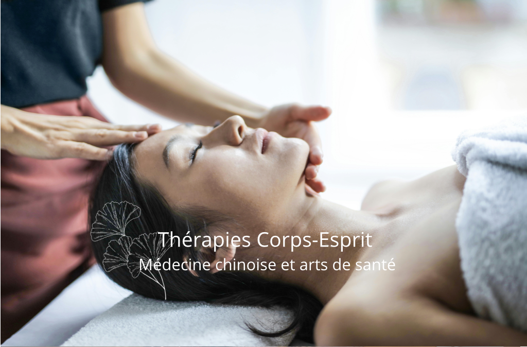 Therapies-corps-esprit-medecine-chinoise-coaching-de-sante-a-Montpellier-Sylvie-Friedlander