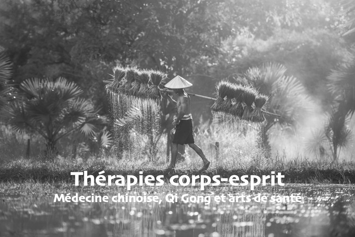 Therapies-corps-esprit_medecine_chinoise_Qi_Gong_Psychologie_energetique_Sylvie_Friedlander_Montpellier