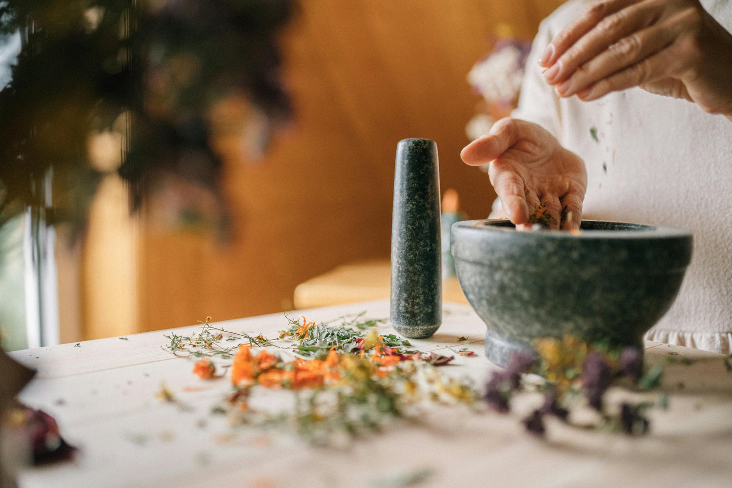 phytotherapie_et_medecine_chinoise_a_Montpellier_Sylvie_Friedlander